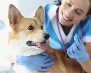 360_F_499486364_vphzAMwe75KRtBz4iMKdVnmfQVhY08N4